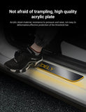 LED Colorful Lights illuminated Door Sills for Tesla Model Y/3/S/X - Tesery Official Store
