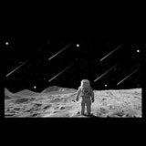 Moon Landing Badge License Plate Projection Lights for Model 3 Highland/Model Y - Tesery Official Store