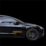Reflective Robotaxi Decal | Tesla Body & Window Waterproof PVC Sticker - Tesery Official Store