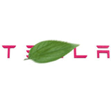 Tailgate Lettered Rear Logo Replacement For Tesla Model 3/Y - Tesery Official Store