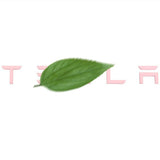 Tailgate Lettered Rear Logo Replacement For Tesla Model 3/Y - Tesery Official Store